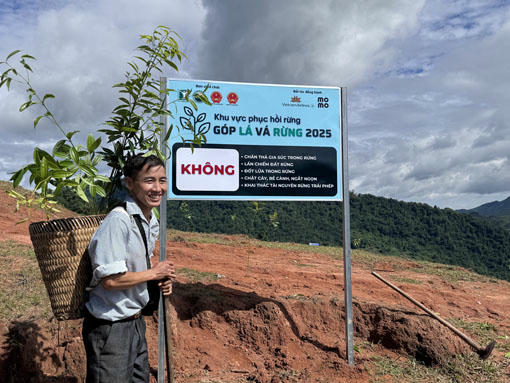 Trưởng bản Pha Luông Giàng A Sợi rất tâm huyết với công tác bảo vệ, phục hồi rừng.