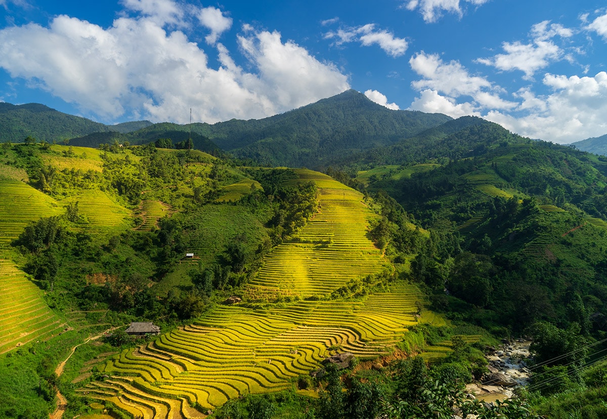 ảnh ruộng bậc thang sa pa