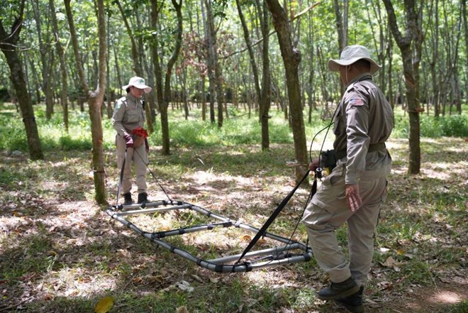Tìm thấy hàng chục bom chùm, vật liệu nổ sót lại sau chiến tranh
