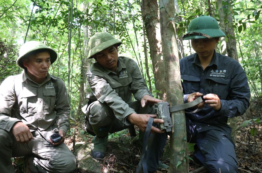 Đặt máy bẫy ảnh ở Khu bảo tồn thiên nhiên Bắc Hướng Hóa. Ảnh: Hưng Thơ