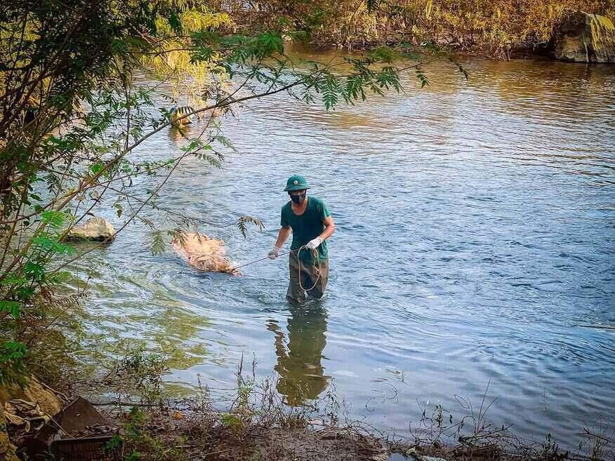 Ông Bùi Văn Tùng, xã Kim Bôi là người đã thầm lặng đi vớt hơn 170 xác lợn trôi nổi trên sông, suối giữa tâm bệnh dịch tả lợn Châu Phi. Ảnh: NDCC