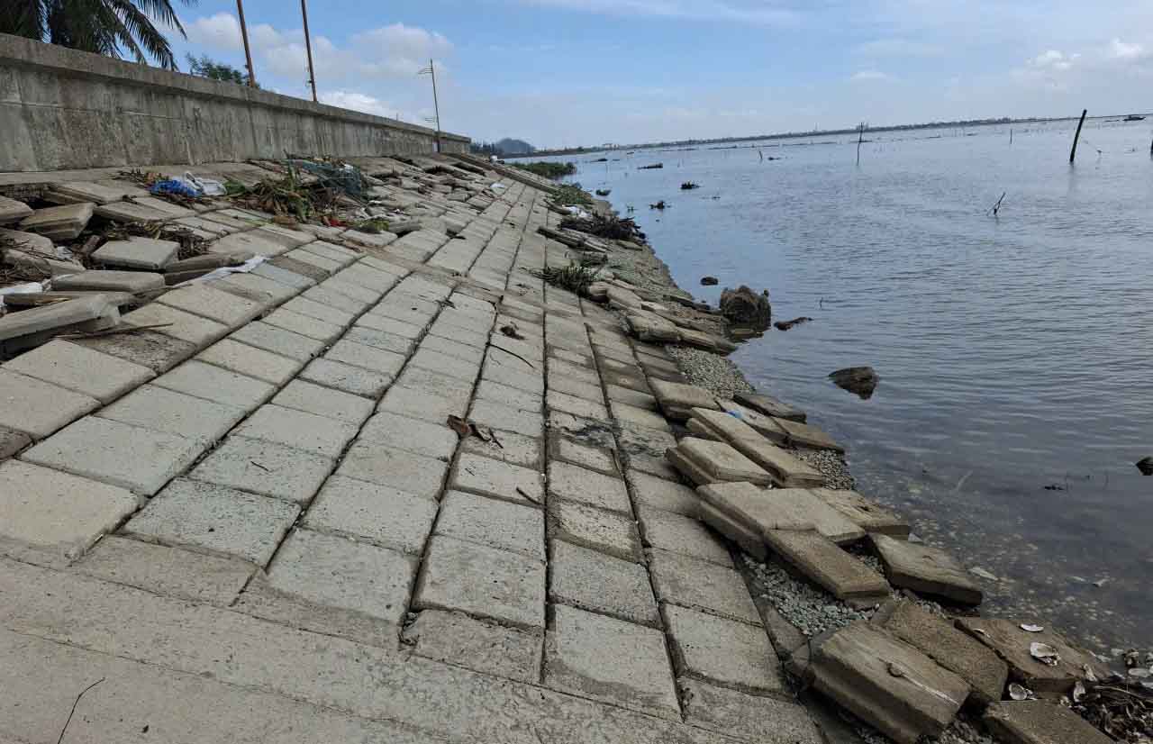 Chiều dài đoạn kè bị sạt lở khoảng 200m. Ảnh: Trần Tuấn.