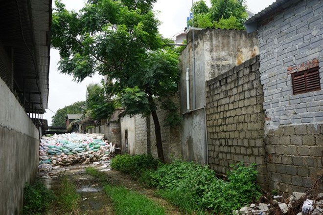 Bất ngờ về kết quả kiểm tra tại trại bò bị người dân