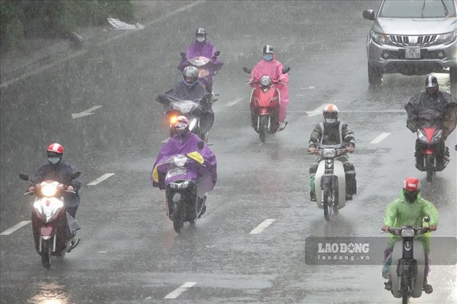 Dự báo khu vực mưa to đến rất to trong 2 ngày tới, có nơi vượt mốc 250mm