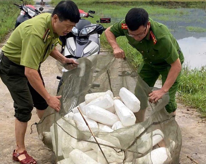 Ra quân phá hủy dụng cụ bẫy bắt chim trời