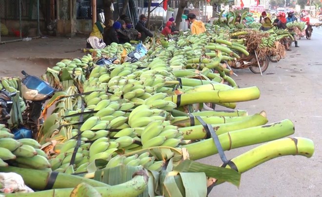 Dẹp chợ chuối lấn đường sau vụ tai nạn ở Quảng Trị, dân buôn bán ra sao