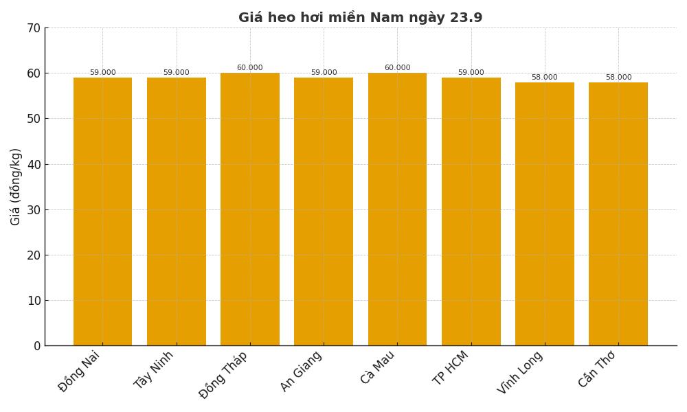 Giá heo hơi hôm nay 23.9 tại miền Nam. Đồ họa: Thùy Linh