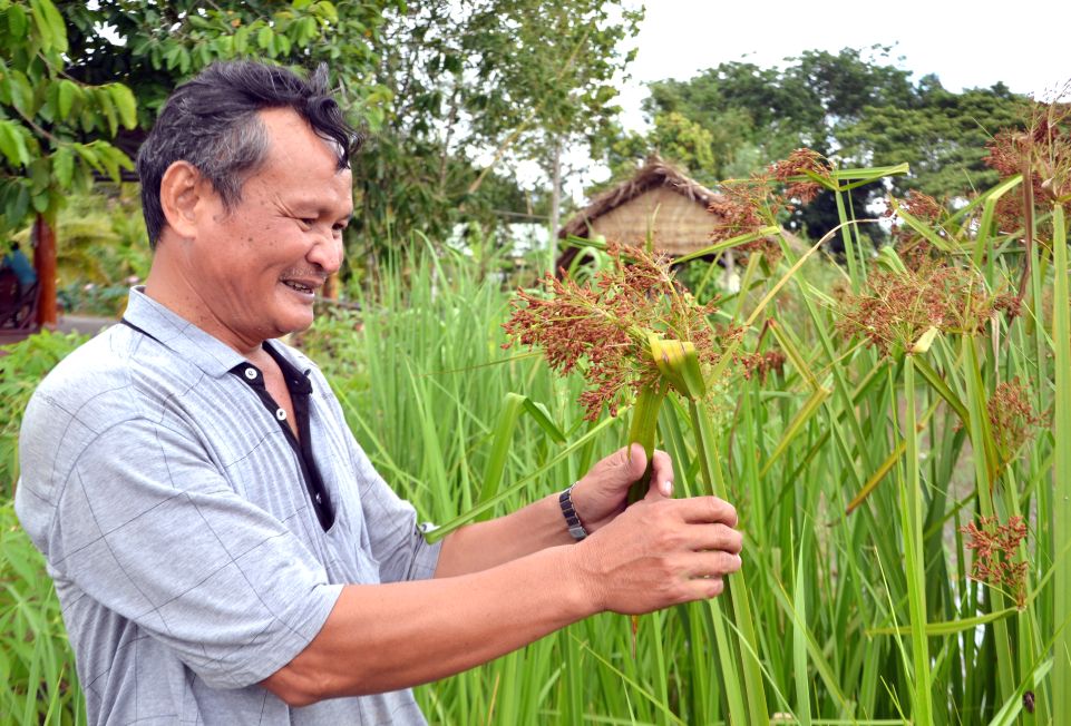 Kỹ sư Lê Quốc Việt, tác giả “Thương lắm lúa mùa ơi“. Ảnh: Lâm Điền