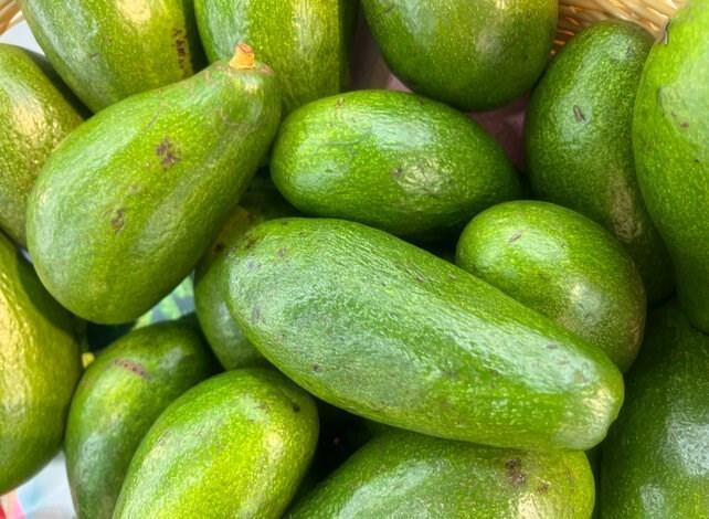 Thực phẩm nên ăn vào buổi trưa để tránh tích mỡ nội tạng