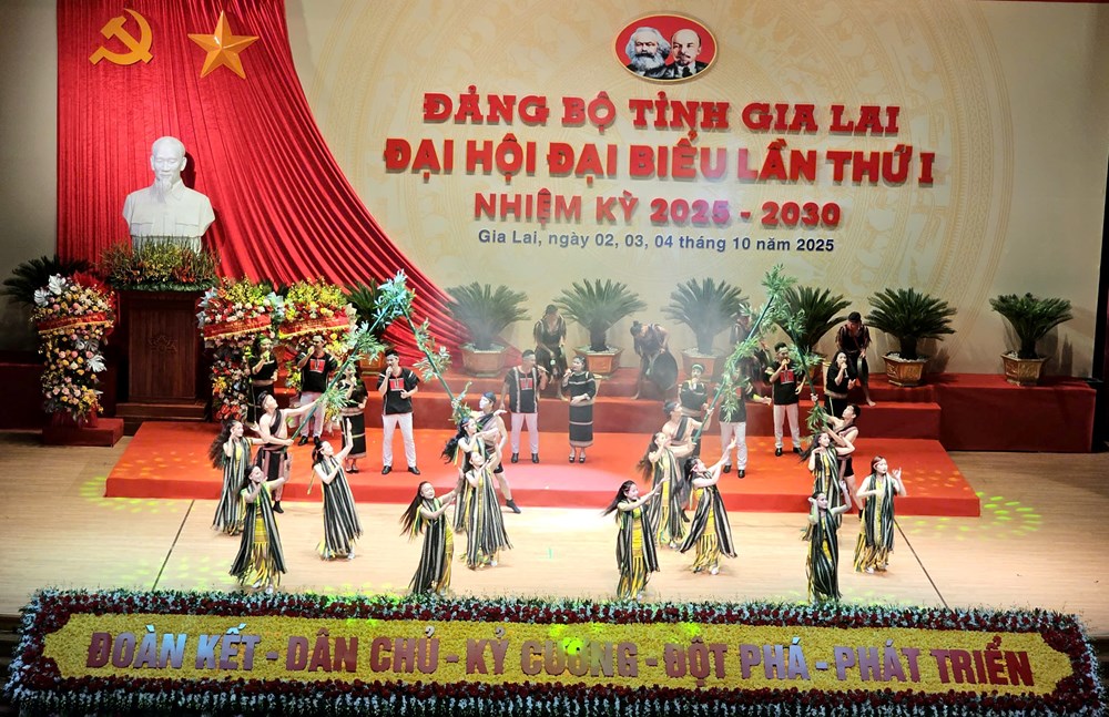 Khai mạc phiên chính thức Đại hội đại biểu Đảng bộ tỉnh Gia Lai lần thứ I - ảnh 6
