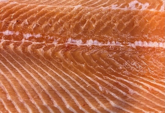 Chế độ ăn trưa và giấc ngủ ngon