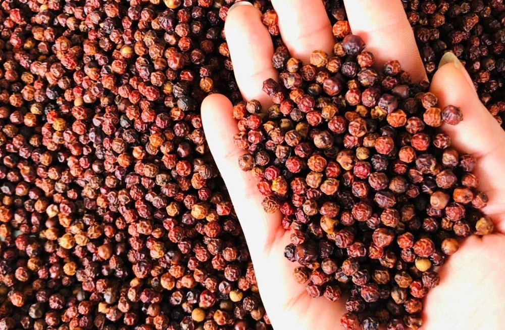 Giá hồ tiêu hôm nay 6.10: Xu hướng hồi nhẹ, triển vọng tích cực - ảnh 1