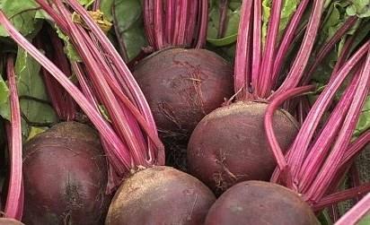 Loại củ không tốt cho người bệnh sỏi thận