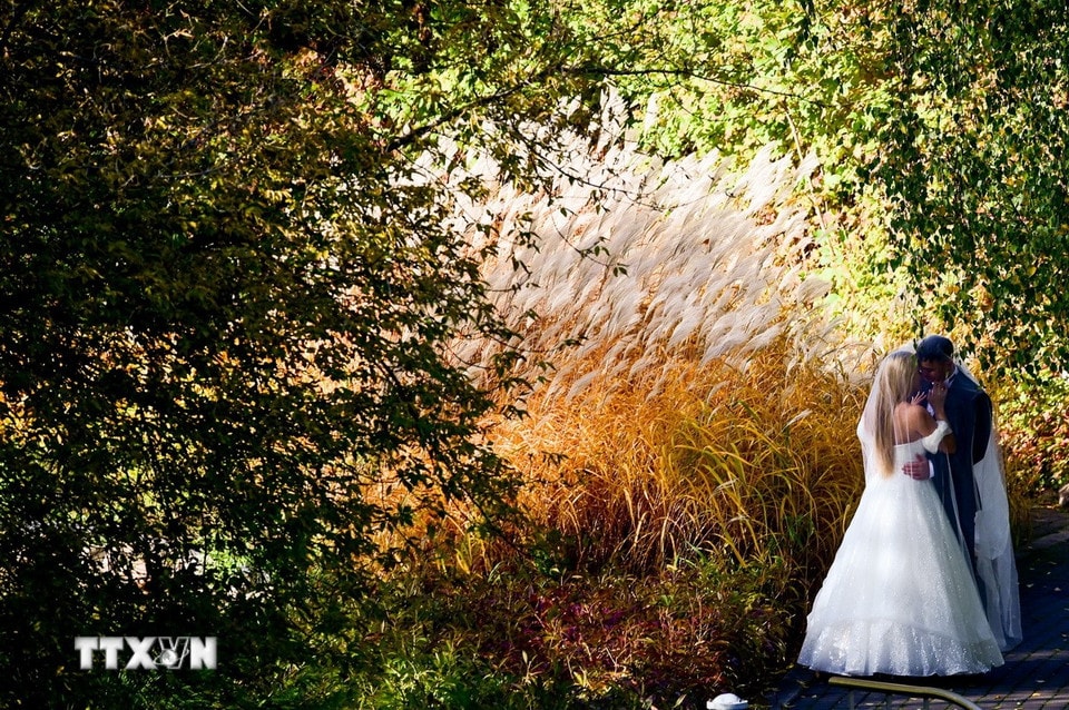 Cặp đôi chụp ảnh cưới trong khu vườn mùa thu tại Vacsava, Ba Lan. (Ảnh: THX/TTXVN)