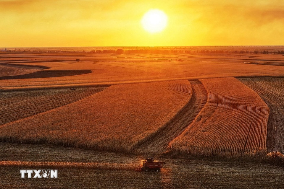 Khung cảnh mùa thu tại tỉnh Hắc Long Giang, Trung Quốc. (Ảnh: THX/TTXVN)