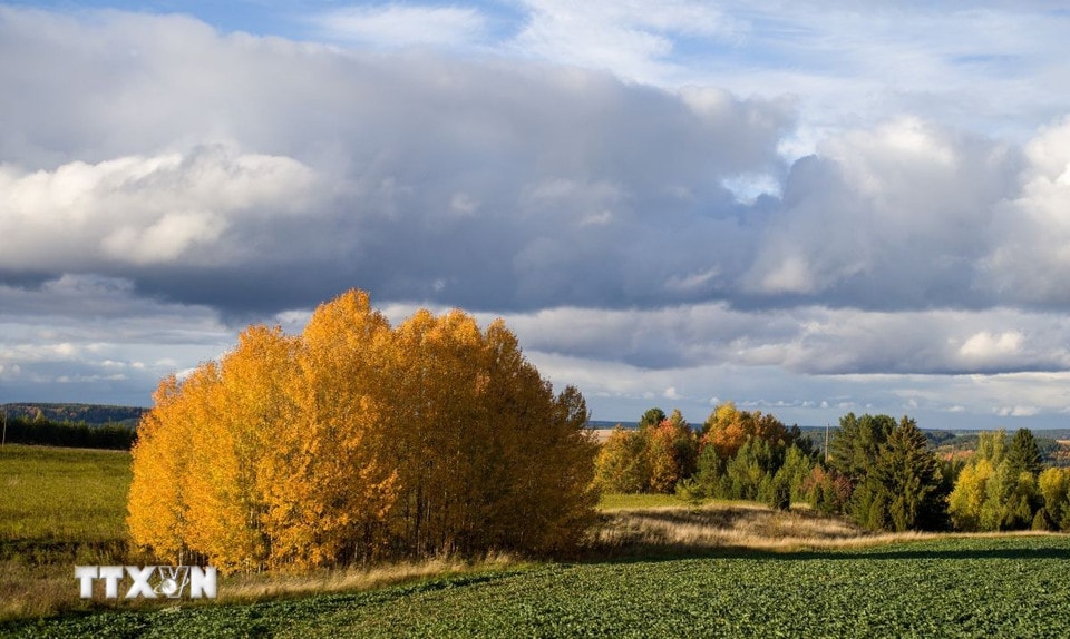 Cảnh sắc mùa thu tại Sarapul, Udmurtia, Nga. (Ảnh: THX/TTXVN)