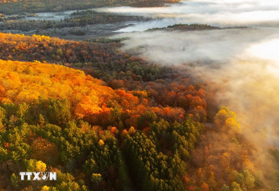 Cảnh đẹp mùa thu tại Huntsville, Ontario, Canada. (Ảnh: THX/TTXVN)