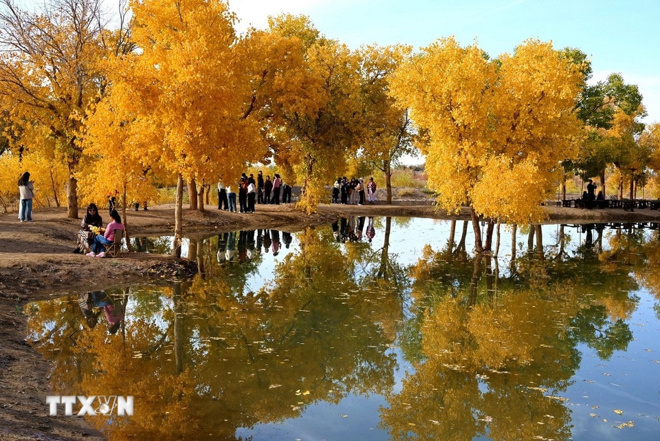 Cảnh mùa thu tại tỉnh Cam Túc, Trung Quốc. (Ảnh: THX/TTXVN)