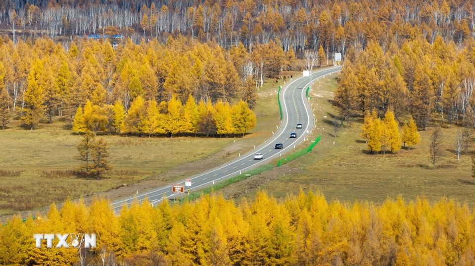 Mùa thu đang nhẹ nhàng vẽ bức tranh quyến rũ, thơ mộng với gam màu đỏ vàng chủ đạo cho cảnh sắc thiên nhiên tại nhiều quốc gia trên thế giới. Trong ảnh: Cảnh đẹp mùa thu tại khu tự trị Nội Mông, Trung Quốc. (Ảnh: THX/TTXVN)