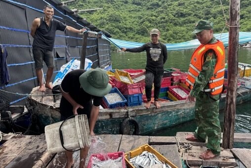 Bão số 12 di chuyển nhanh về phía Tây, Đắk Lắk chủ động ứng phó