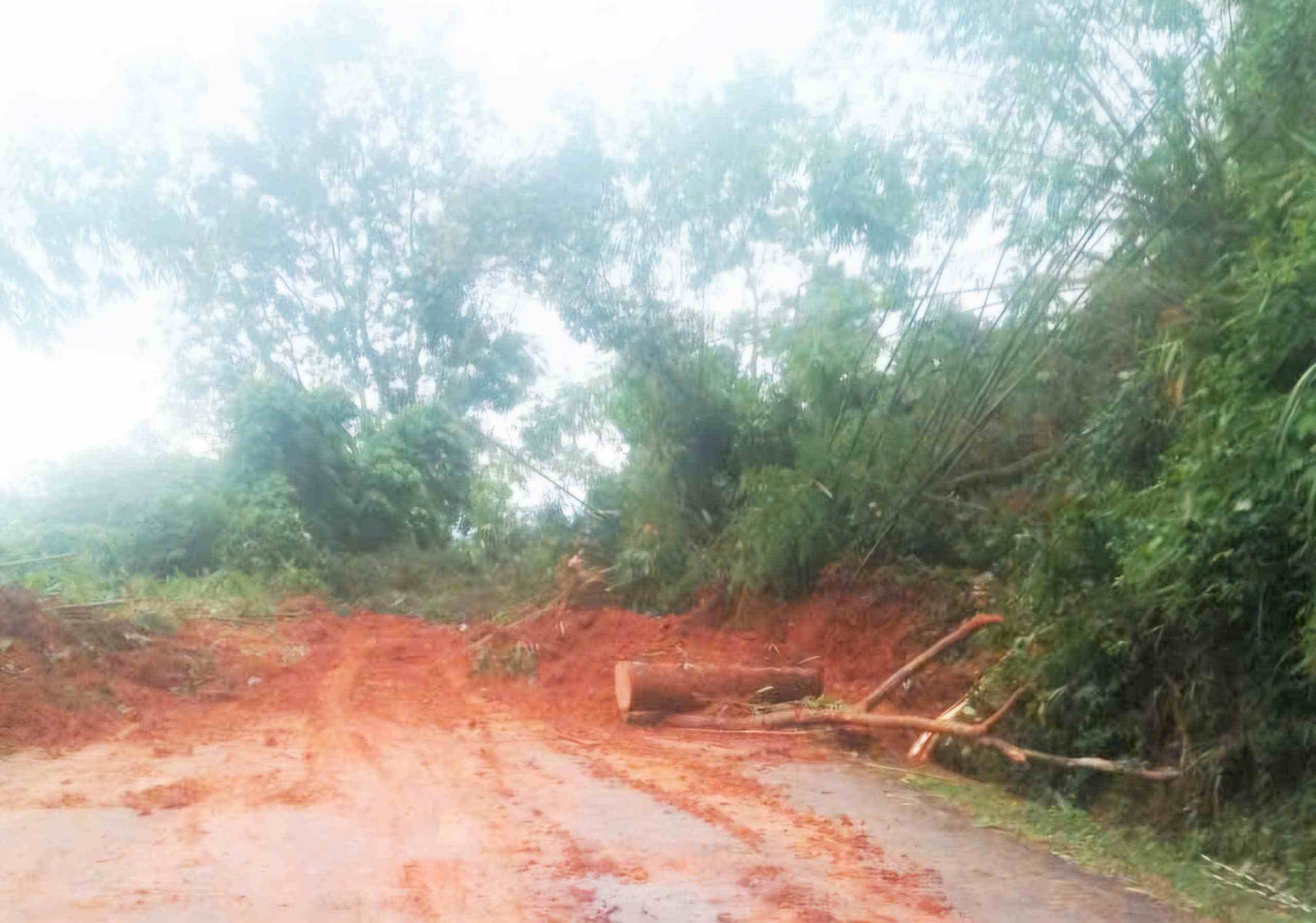 Một điểm sạt lở khiến đất đá, cây rừng vùi lấp mặt đường trên đèo Gia Bắc. Ảnh: Phúc Khánh