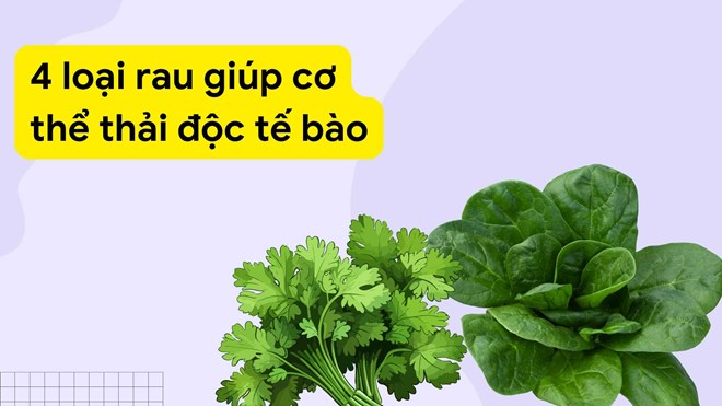 4 loại rau giúp cơ thể thải độc tế bào