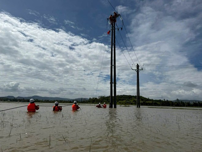 Điện lực Đắk Lắk khẩn trương khôi phục điện sau bão, 95% khách hàng đã có điện trở lại
