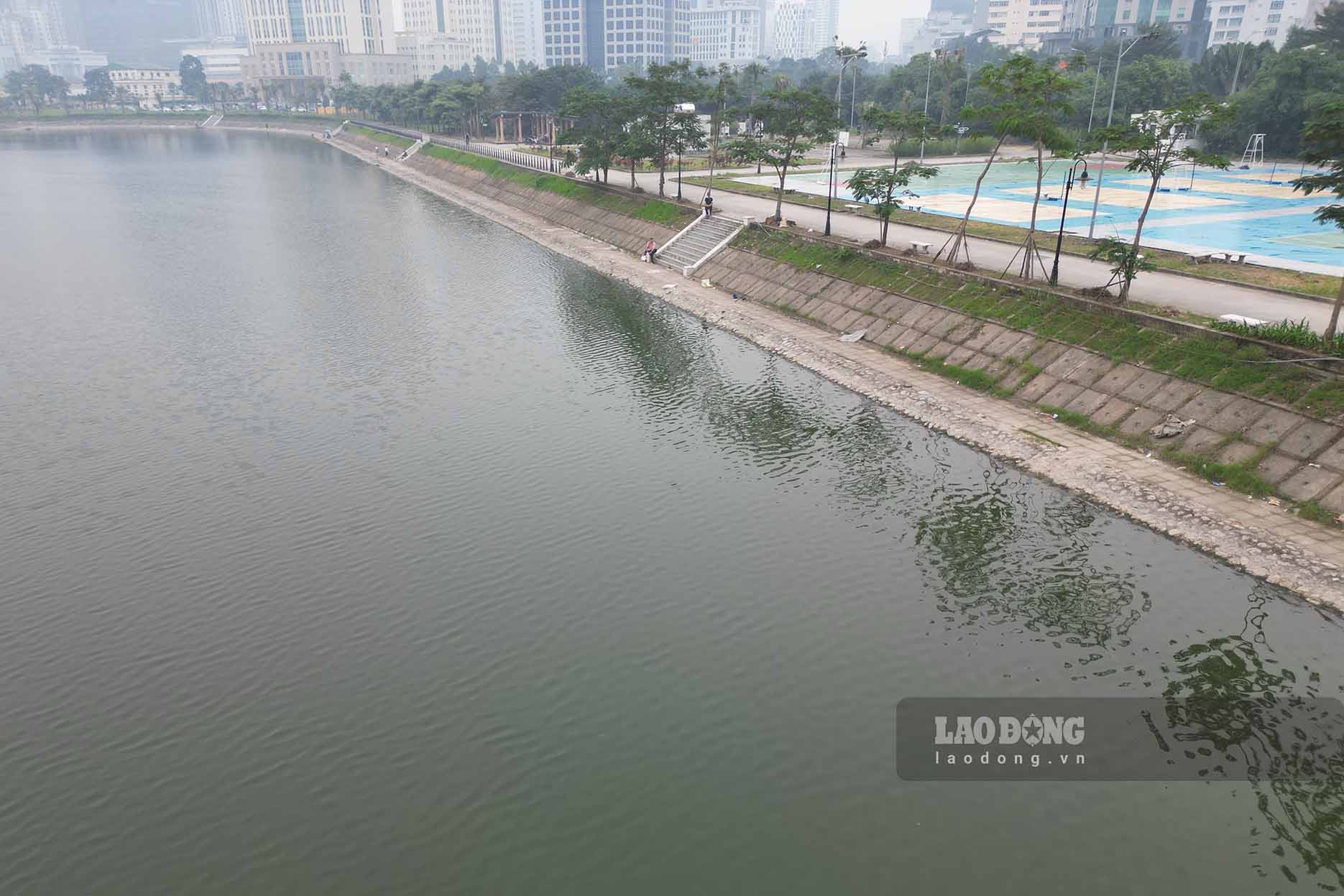 Hồ điều hòa không còn cảnh cá chết nổi trắng bụng. Ảnh: Thiện Nhân