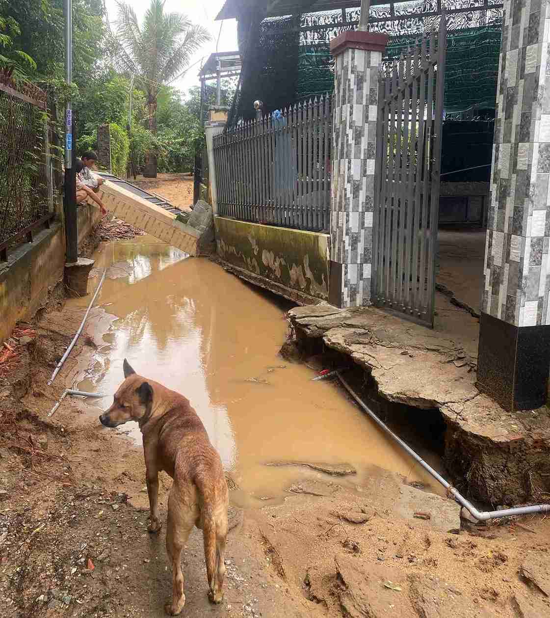 Mhiều ngày mưa lớn liên tục đã khiến bờ sông Cái Phan Rang đoạn qua địa bàn xã bị xói lở hàm ếch. Ảnh: Công an Sơn Mỹ