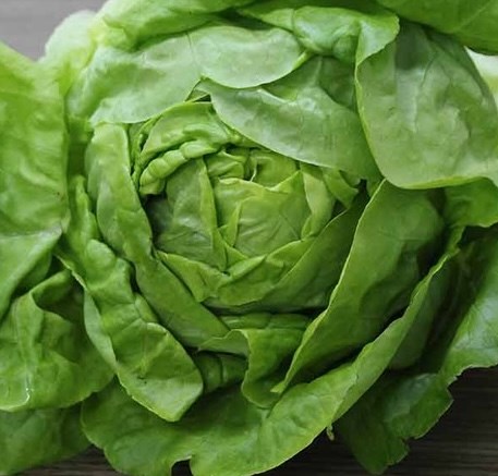 Loại rau quen thuộc giúp thư giãn và hỗ trợ giấc ngủ ngon