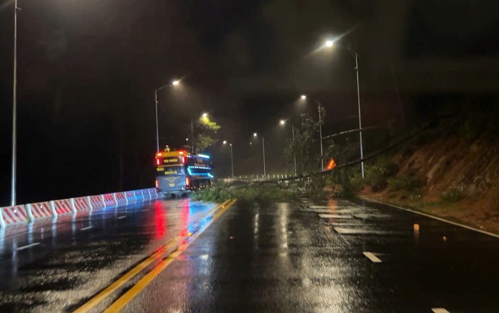 Cây xanh ngã đổ trên đèo Prenn, hiện đã được giải phóng. Ảnh: Phúc Khánh