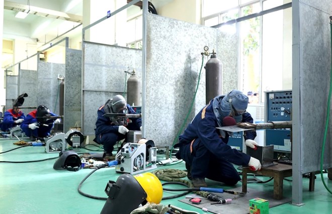 Bữa tối dành cho người trong độ tuổi lao động bị mỡ máu cao