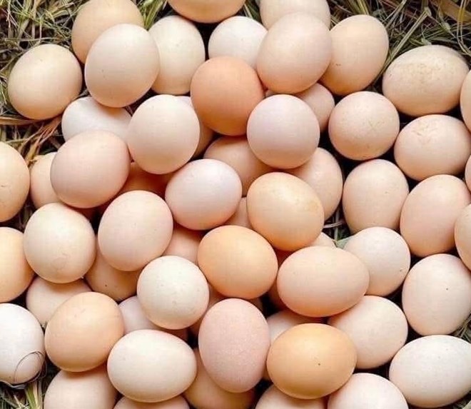 Người lao động làm việc trong tư thế ngồi nhiều nên ăn uống gì để tăng cơ bắp?