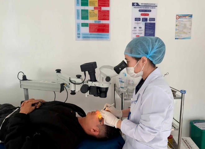 Nhiều người bị chấn thương mắt khi hái cà phê ở Lâm Đồng