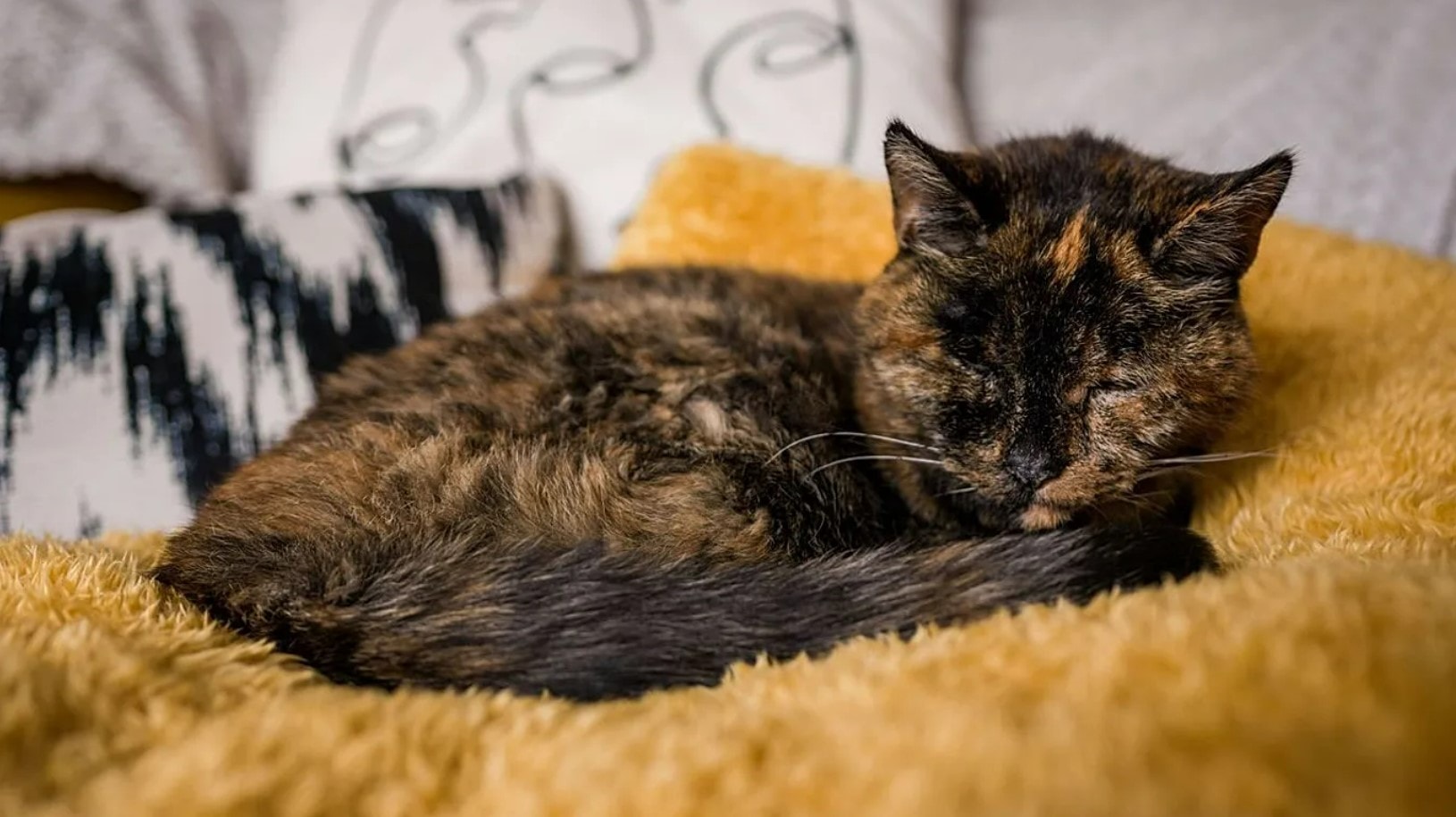 Screenshot 2026-01-01 232959