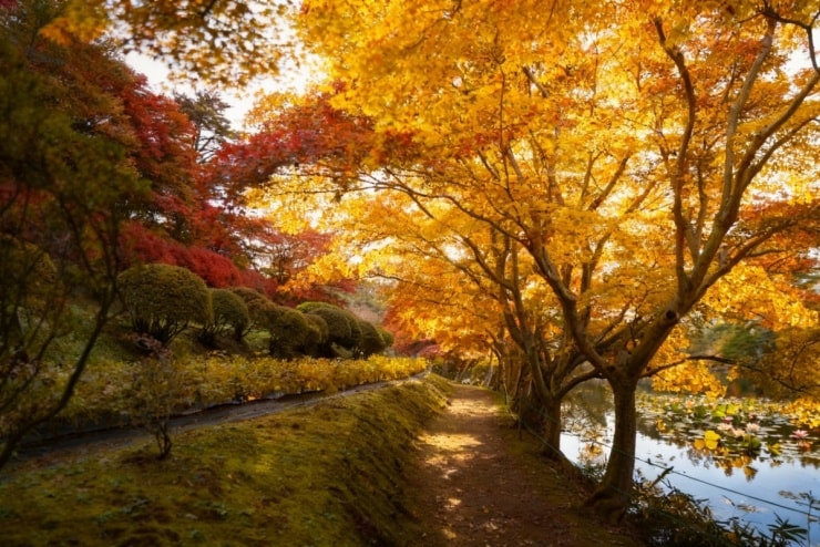 Khung cảnh thiên nhiên rực rỡ sắc màu tại Fukushima mùa thu