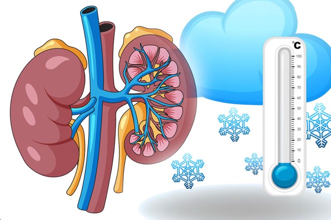 Thời tiết lạnh có thể ảnh hưởng gián tiếp đến chức năng thận