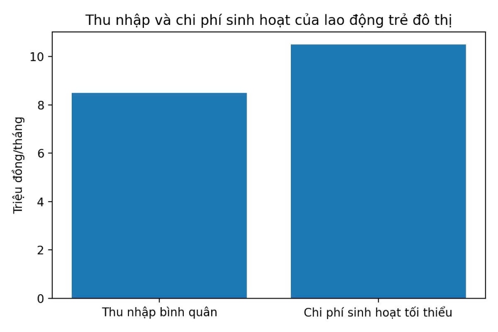 Biểu đồ về thu nhập thực tế và chi phí sinh hoạt của lao động trẻ tại đô thị. Ảnh: Quỳnh Chi