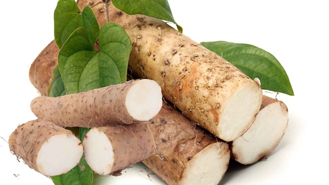 Giải độc gan với củ hoài sơn