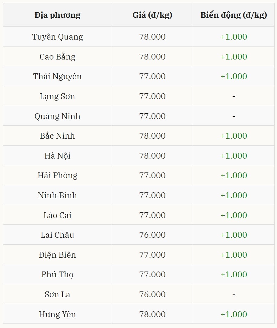 Giá heo hơi hôm nay tại miền Bắc chưa có dấu hiệu dừng lại