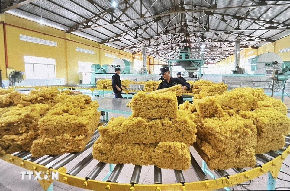 Đóng gói cao su chế biến tại Công ty Cổ phần cơ khí cao su BRC. (Ảnh: Hồng Nhung/TTXVN)