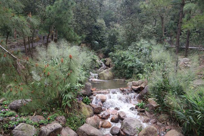 Hải Phòng đầu tư hơn 45 tỉ đồng phục hồi suối Côn Sơn theo hướng tự nhiên