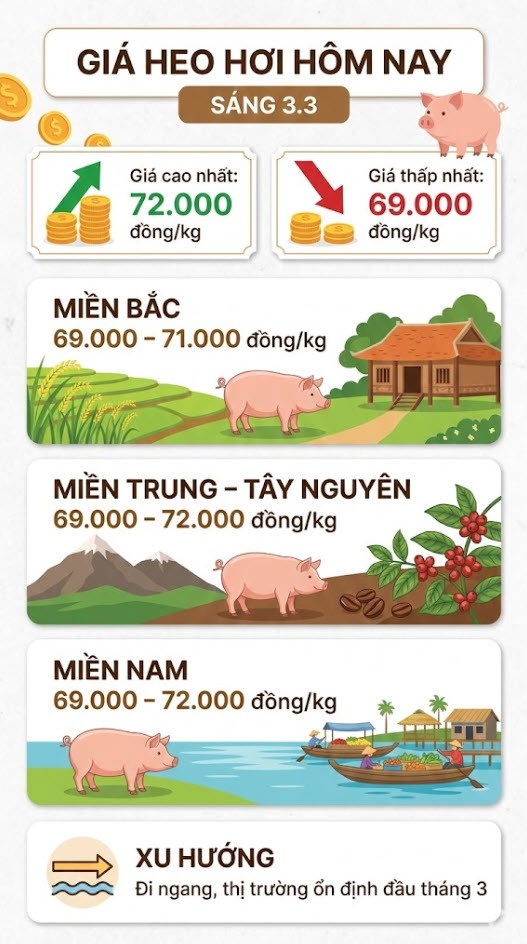 Giá heo hơi hôm nay 3.3: Dao động 69.000 – 72.000 đồng/kg - ảnh 3