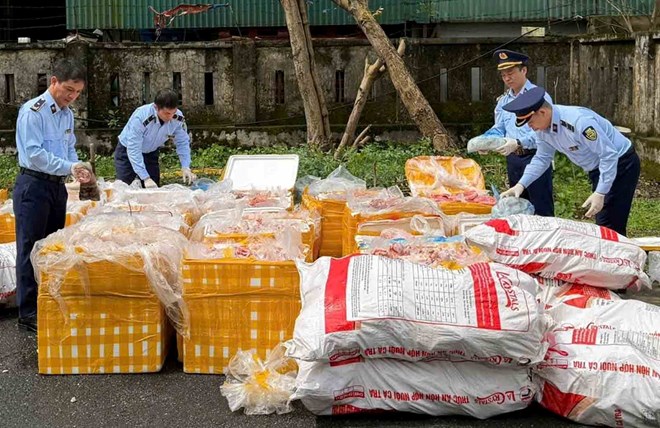 Tiêu hủy hơn 2,6 tấn nội tạng động vật không rõ nguồn gốc