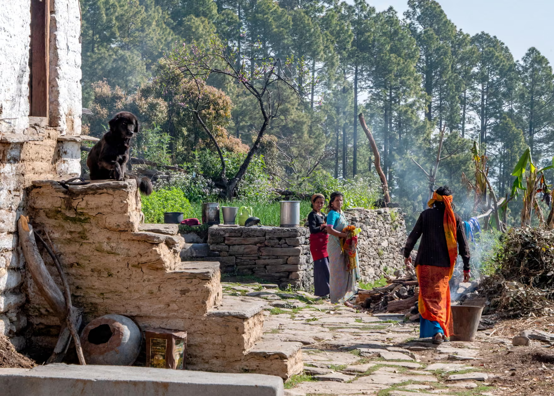 Làng Gonap nằm trong Khu bảo tồn Động vật Hoang dã Binsar, bang Uttarakhand, miền bắc Ấn Độ. Ảnh: The Guardian