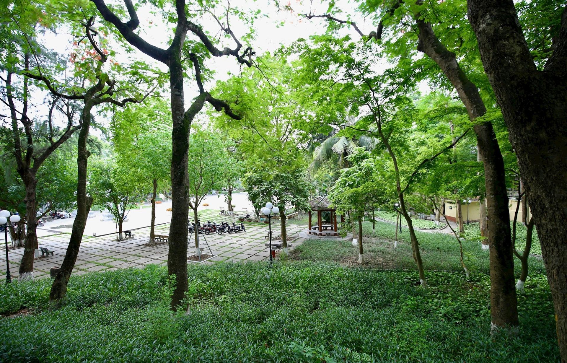 Không gian xanh mát bên trong khu di tích. Ảnh: HT