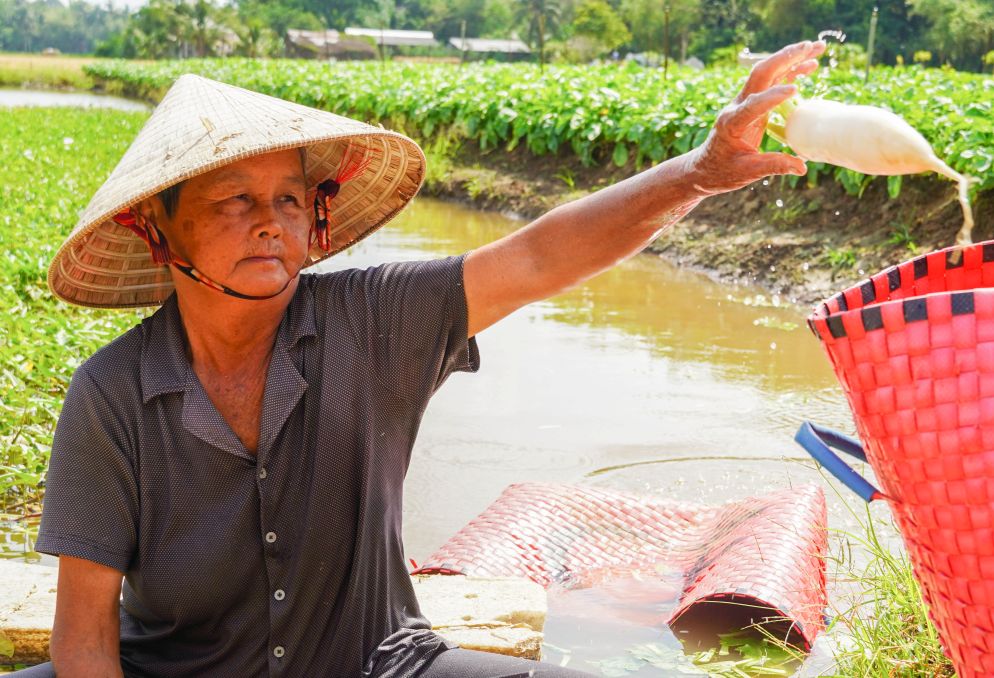 Bà Thái Thị Mỹ Nhung (73 tuổi) với hơn 40 năm làm thuê trên ruộng rau. Ảnh: Phương Anh