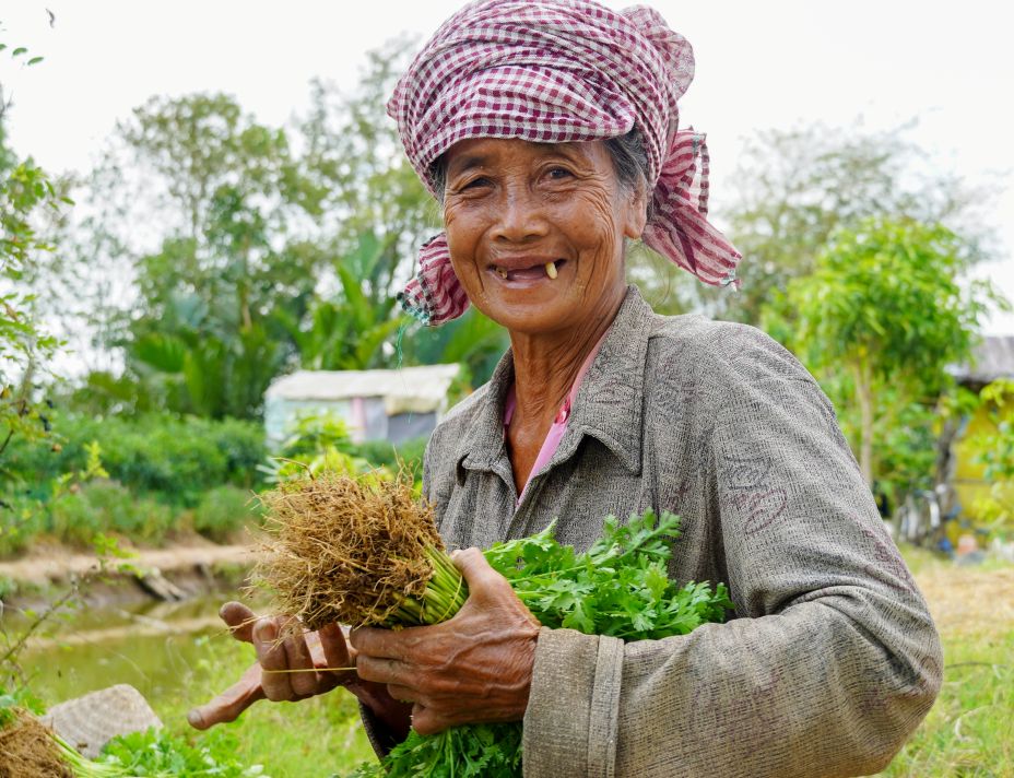 Hình ảnh người phụ nữ lớn tuổi lao động dễ dàng bắt gặp trên các cánh đồng rau ở xã Tham Đôn (TP Cần Thơ). Ảnh: Phương Anh