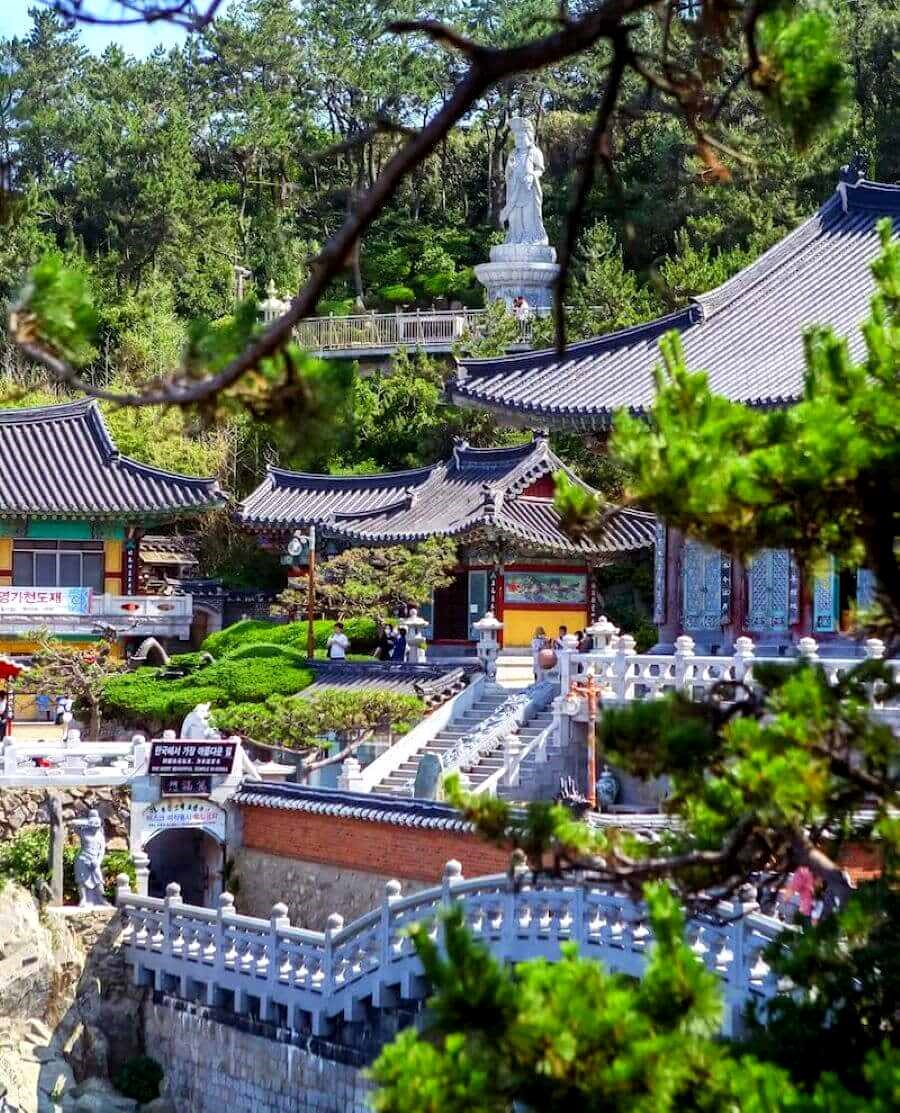 Ngôi chùa bên biển và câu chuyện phía sau những khung hình “triệu like” - ảnh 2