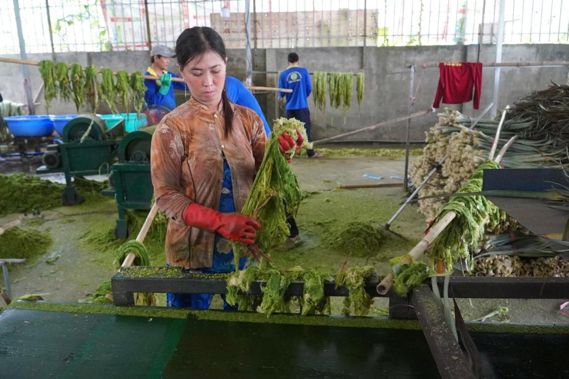 HTX có gần 10 công nhân làm thường xuyên, thu nhập khoảng 7,5 triệu đồng/tháng. Ảnh: Tạ Quang